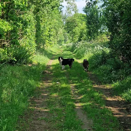 Appartement Thomee Looft